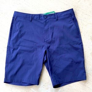 NWT RYE 36 10 Stitch Fix blue shorts